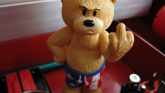 Teddy bears middle finger