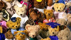 Teddy bears stuffed animals