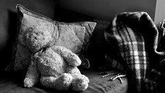 Teddy bears stuffed animals grayscale