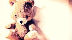 Teddy bears toys (children)