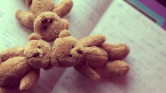 Teddy bears toys (children)