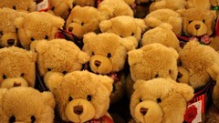 Teddy bears toys (children)