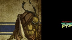 Teenage Mutant Ninja Turtles