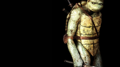 Teenage Mutant Ninja Turtles