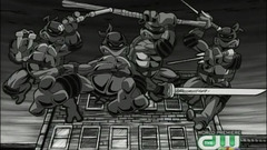 Teenage Mutant Ninja Turtles
