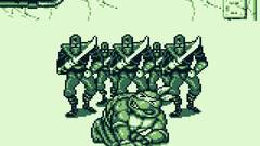 Teenage Mutant Ninja Turtles