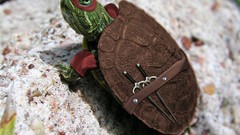 Teenage Mutant Ninja Turtles