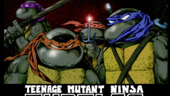 Teenage mutant ninja turtles