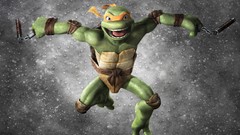 Teenage Mutant Ninja Turtles Ninja Turtle