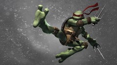 Teenage Mutant Ninja Turtles Ninja Turtle