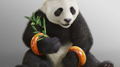 Tekken Blood Vengeance