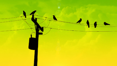 Telephone pole clouds morning