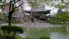 Temple Earth google This found byodo