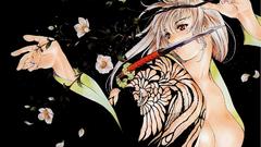 Tenjou tenge Japanese clothes