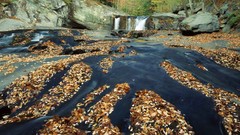 Tennessee rivers forests National