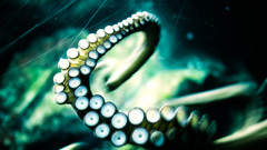 Tentacles octopuses underwater