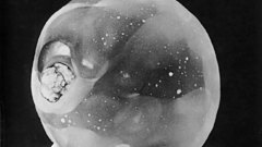 Test 1952 have res anyone higher versions