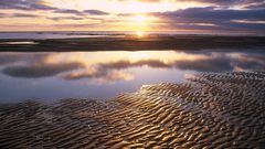 Texel Netherlands Landscapes nature