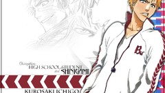Text bleach kurosaki ichigo Shinigami