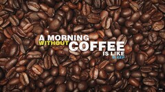 text Coffee Beans coffee quote humor simple Typography