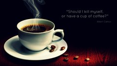 Text coffee food suicide Coffee Beans drinks cups philosophy 