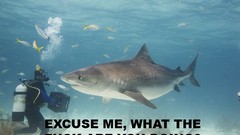 Text diver underwater Sharks funny