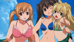 Text ecchi minami-ke swimsuits
