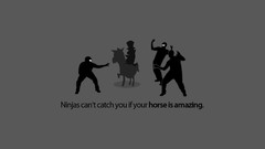 Text funny ninjas cant catch you if