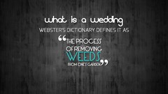 Text funny wedding Quotes