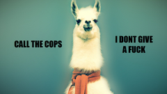 Text llama scarfs lashes