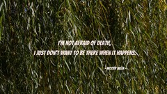 Text love death letters friendship funny Quotes inspirational