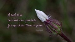 Text love letters friendship can sad Soul Quotes inspirational