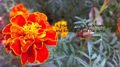 Text love one letters friendship friend Quotes inspirational