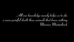 Text minimalistic Quotes