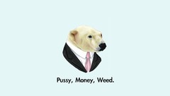Text pussy Money Bears funny suit marijuana Polar Bears