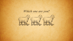 Text sheep Typography