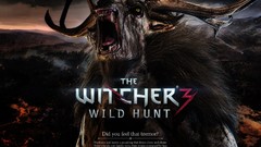 Text the witcher 3 wild hunt video games witcher