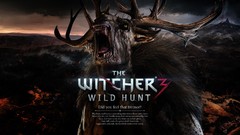 Text the witcher 3 wild hunt video games witcher