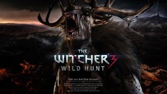 Text the witcher 3 wild hunt video games witcher