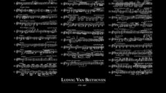 Text Typography black background