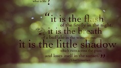 Text Typography wisdom poetry philosophy Quotes