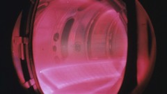 Textor in there high