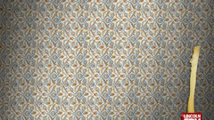 Texture Lincoln fry abstract