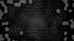 Textures black patterns shell hexagons