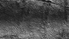 Textures black white