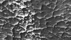 Textures black white