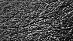 Textures black white surface