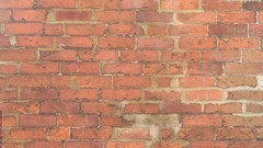 Textures Bricks