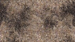 Textures dead grass