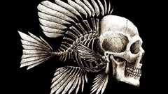 Textures death dead fish black background Evolution skulls 